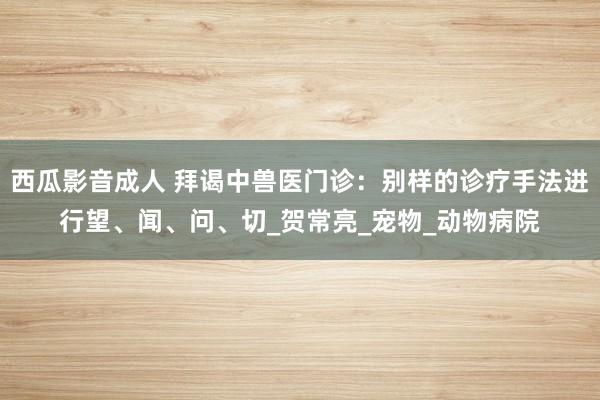 西瓜影音成人 拜谒中兽医门诊：别样的诊疗手法进行望、闻、问、切_贺常亮_宠物_动物病院
