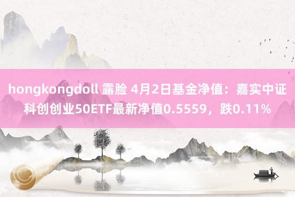 hongkongdoll 露脸 4月2日基金净值：嘉实中证科创创业50ETF最新净值0.5559，跌0.11%
