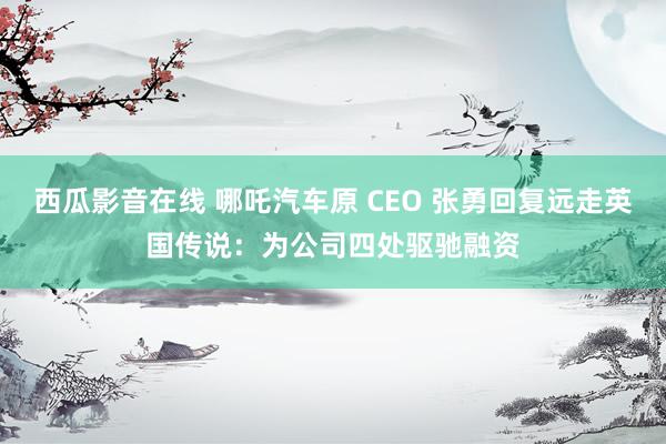 西瓜影音在线 哪吒汽车原 CEO 张勇回复远走英国传说：为公司四处驱驰融资