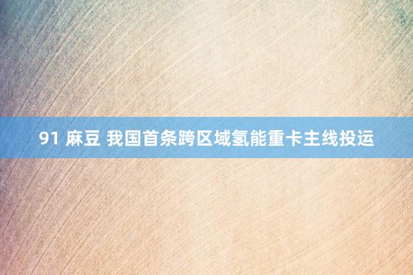 91 麻豆 我国首条跨区域氢能重卡主线投运