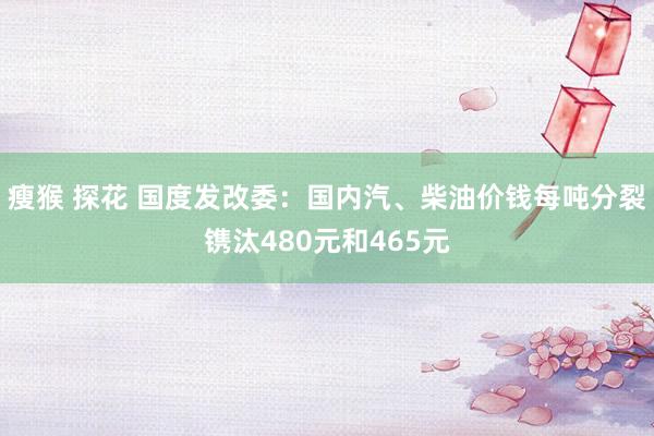 瘦猴 探花 国度发改委：国内汽、柴油价钱每吨分裂镌汰480元和465元
