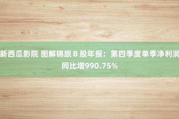 新西瓜影院 图解锦旅Ｂ股年报：第四季度单季净利润同比增990.75%
