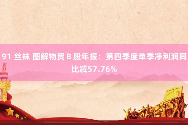 91 丝袜 图解物贸Ｂ股年报：第四季度单季净利润同比减57.76%