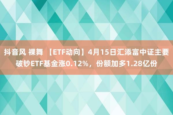 抖音风 裸舞 【ETF动向】4月15日汇添富中证主要破钞ETF基金涨0.12%，份额加多1.28亿份