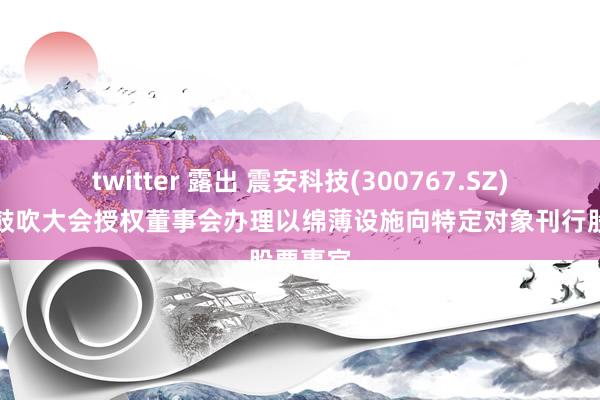 twitter 露出 震安科技(300767.SZ)：提请鼓吹大会授权董事会办理以绵薄设施向特定对象刊行股票事宜