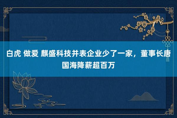白虎 做爱 麒盛科技并表企业少了一家，董事长唐国海降薪超百万