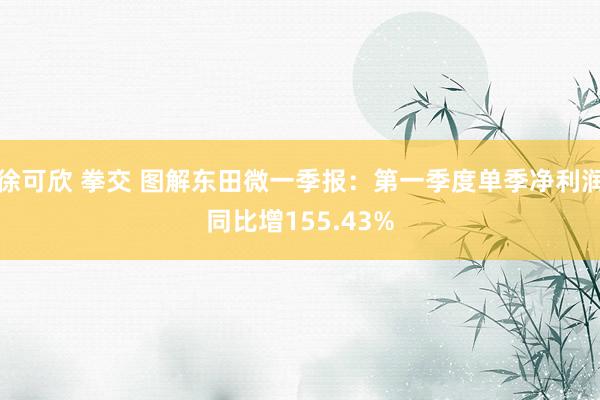 徐可欣 拳交 图解东田微一季报：第一季度单季净利润同比增155.43%