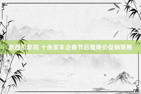 新西瓜影院 十余家车企春节后推降价促销策略
