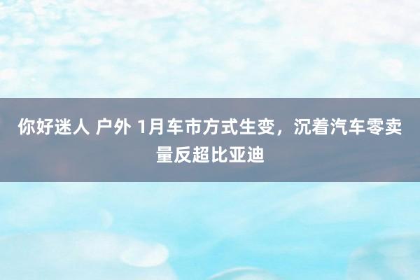 你好迷人 户外 1月车市方式生变，沉着汽车零卖量反超比亚迪