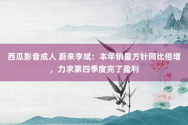 西瓜影音成人 蔚来李斌：本年销量方针同比倍增，力求第四季度完了盈利