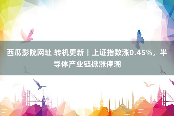 西瓜影院网址 转机更新｜上证指数涨0.45%，半导体产业链掀涨停潮
