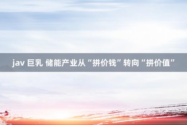 jav 巨乳 储能产业从“拼价钱”转向“拼价值”