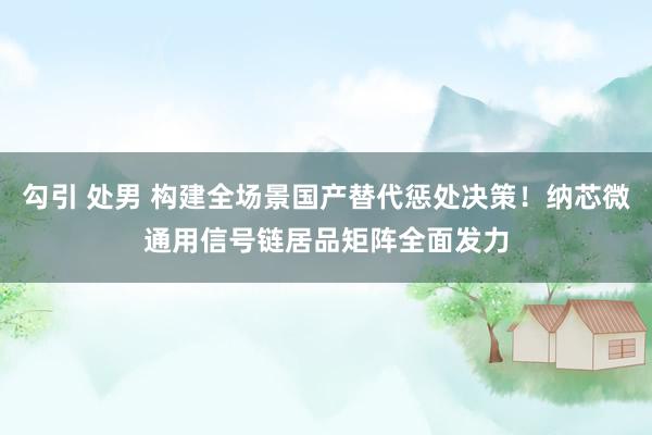 勾引 处男 构建全场景国产替代惩处决策！纳芯微通用信号链居品矩阵全面发力